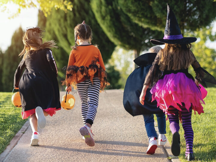 Halloween au parc Walygator pour les enfants de la MECS Viotti