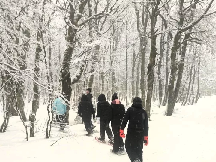 Vacances d’hiver au DITEP Boulay : un programme riche en partage, découverte et cohésion !